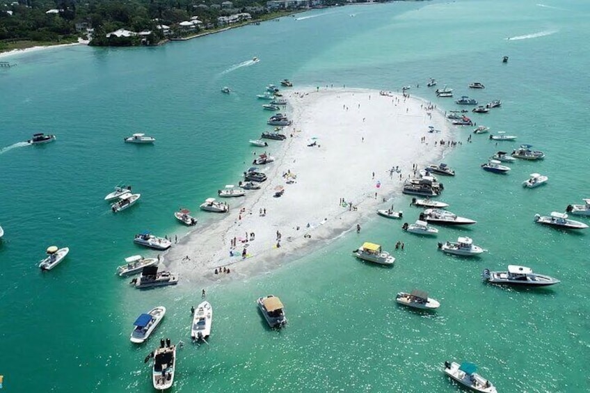 Explore Dolphins, Manatees, Sandbar Hop, Waterfront Lunch, 420 OK