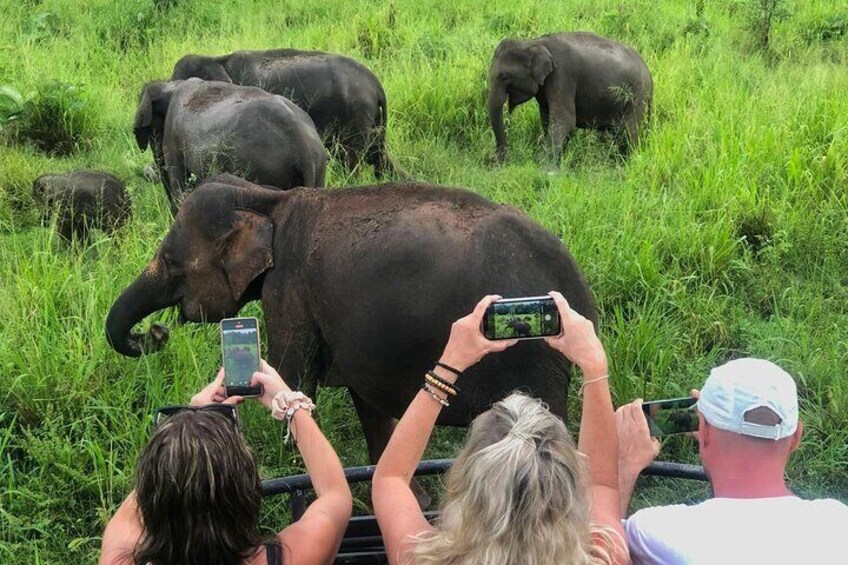 Sigiriya Rock, Village Tour and Wild Elephant Safari Sri Lanka
