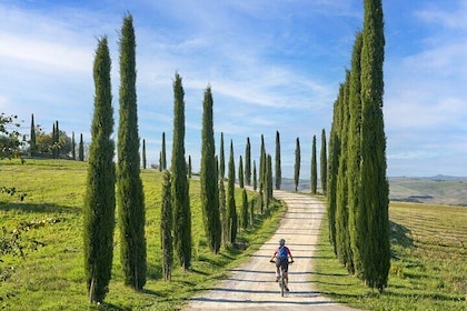 Siena E-Bike Tour with Private Transportation