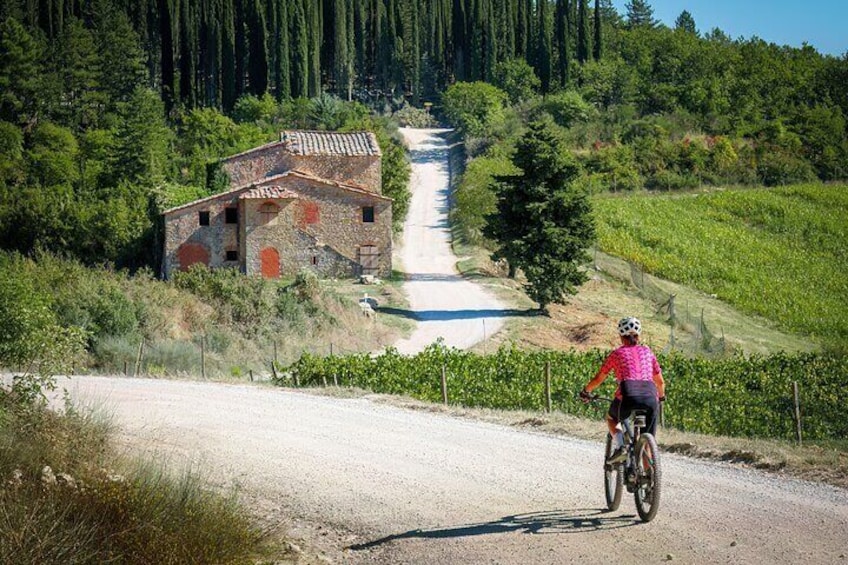 Via Francigena