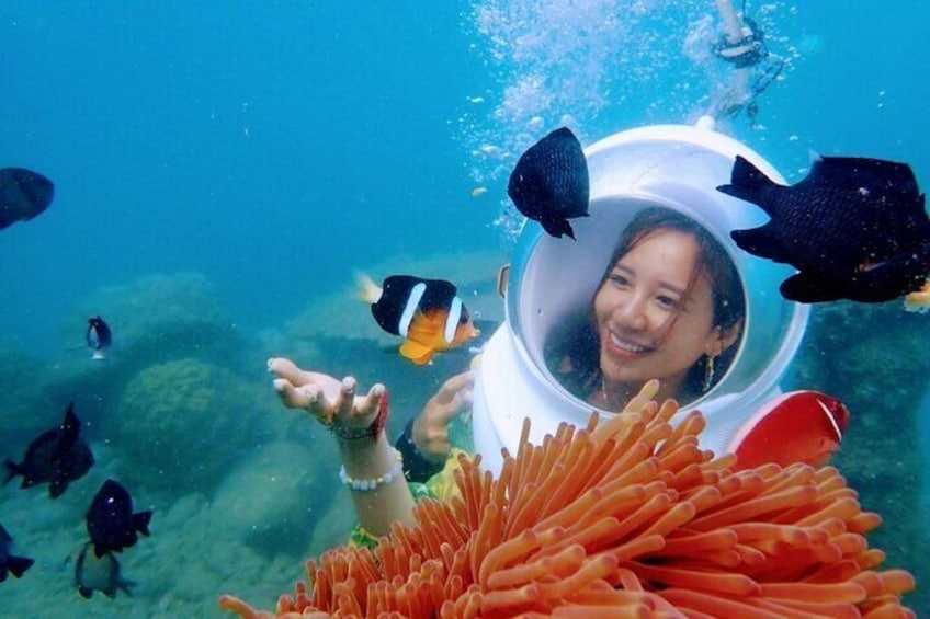Discover Nha Trang Bay: Sea Walking Adventure and Local Cuisine
