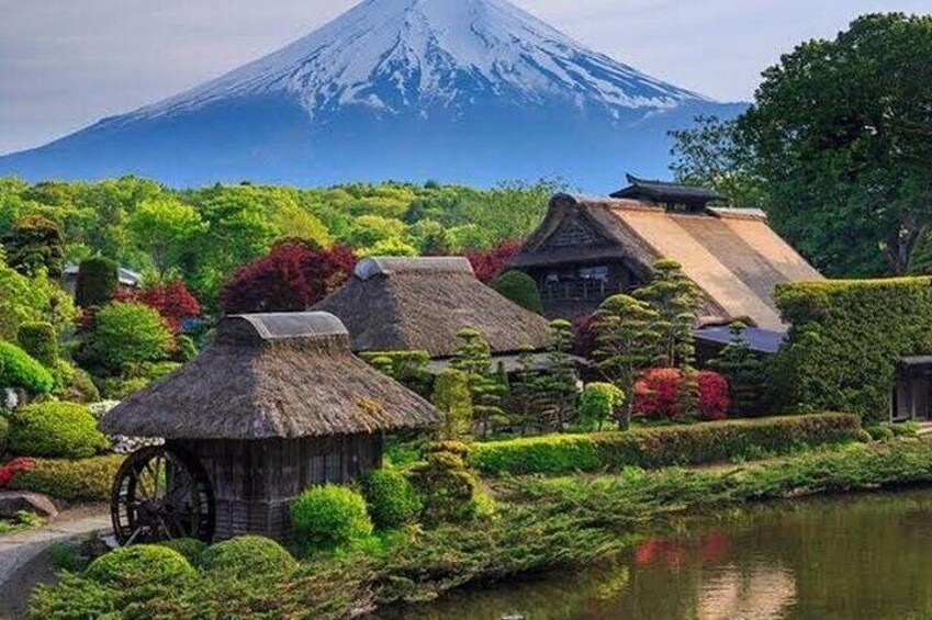 MT Fuji with private Tour
