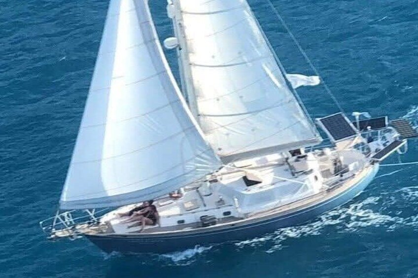 I Like Turtles Private Sailing and Snorkeling from Sapphire