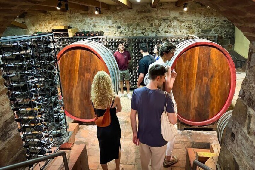 Guided tour of the cellars with wine tasting and lunch