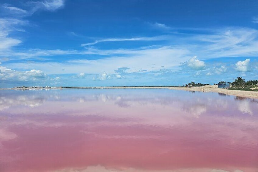 Hike in Las Coloradas and Boat Tour of Río Lagartos