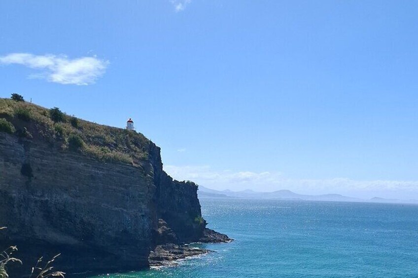 Dunedin and Otago Peninsula Tours For Up To 5 people