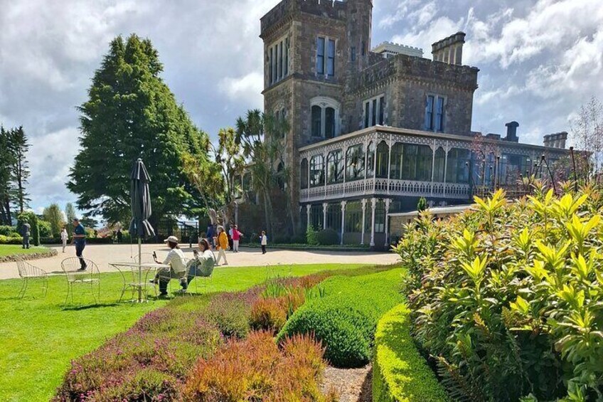 Dunedin and Otago Peninsula Tours For Up To 5 people