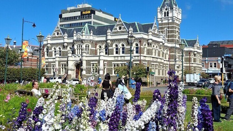 Dunedin and Otago Peninsula Tours For Up To 5 people
