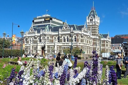 Dunedin and Otago Peninsula Tours For Up To 5 people