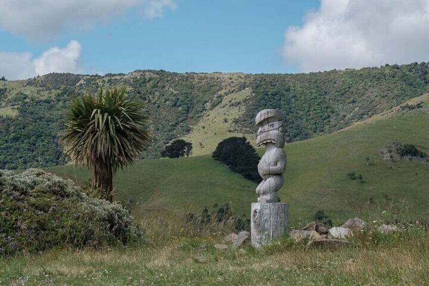 Learn about the natural history and cultural of New Zealand. 