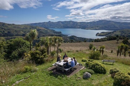 Akaroa Nature and History Tour - Private Tour