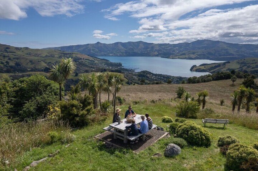 Free homemade scones and tea or coffee at the Akaroa Heritage Park, one of the most beautiful picnic spots in the world. Connect with this New Zealand Nature Tour.