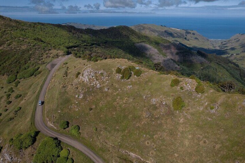 Go to the Wildside where few if any tourists to New Zealand visit and learn about the nature conservation projects. 