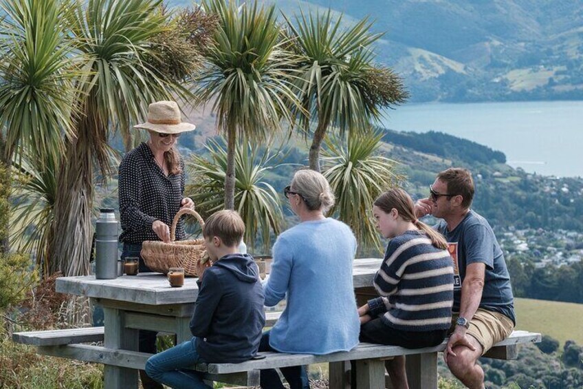 Akaroa Nature and History Tour