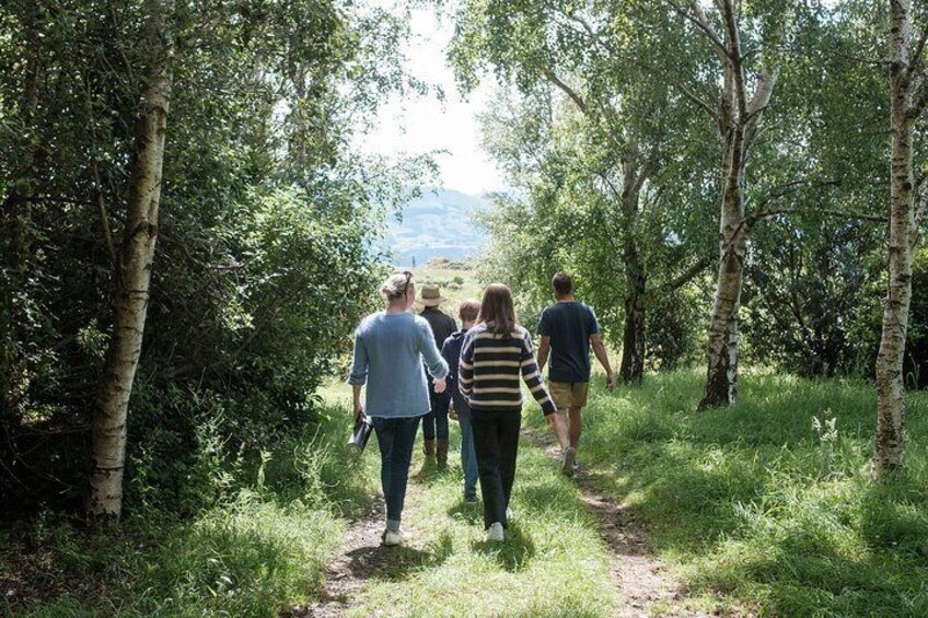 Connect with nature in New Zealand, this tour is based on mindfulness and indigenous concepts. 