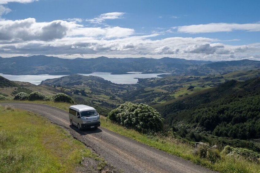 Akaroa Nature Tour taking you to the Wildside of Akaroa. We climb to the summit for scenery and to understand nature conservation projects in New Zealand. 