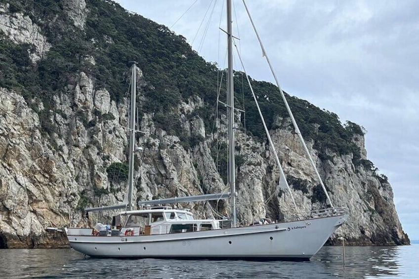 Te Kaihōpara anchored at Poor Knights Islands