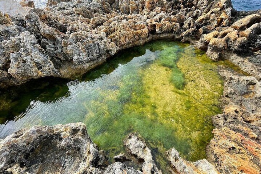 Rock pools to explore