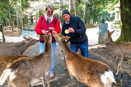 Nara privat anpassad rundvandring