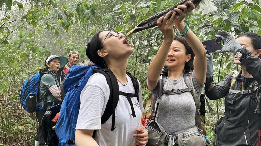 On trekking Trail