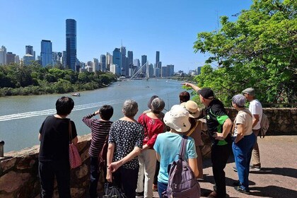 6 Hour Welcome to Brisbane Private Sightseeing Tour