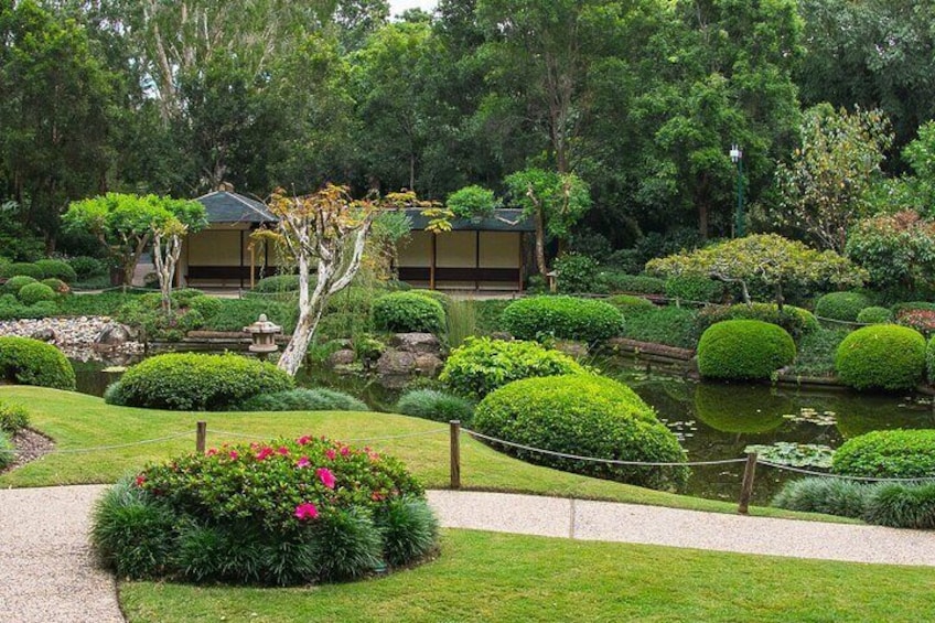 Mount Coot-tha Botanic Gardens