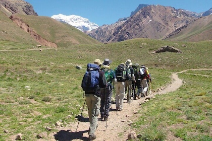 Mendoza Half-Day Adventure Trekking with Rappel and Snacks