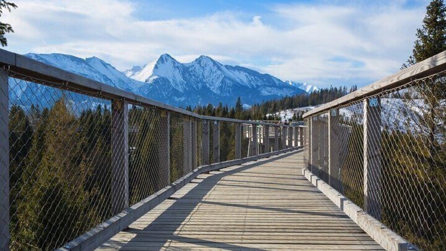 Zakopane TreeTop Walking Tour from Slovakia with Pickup