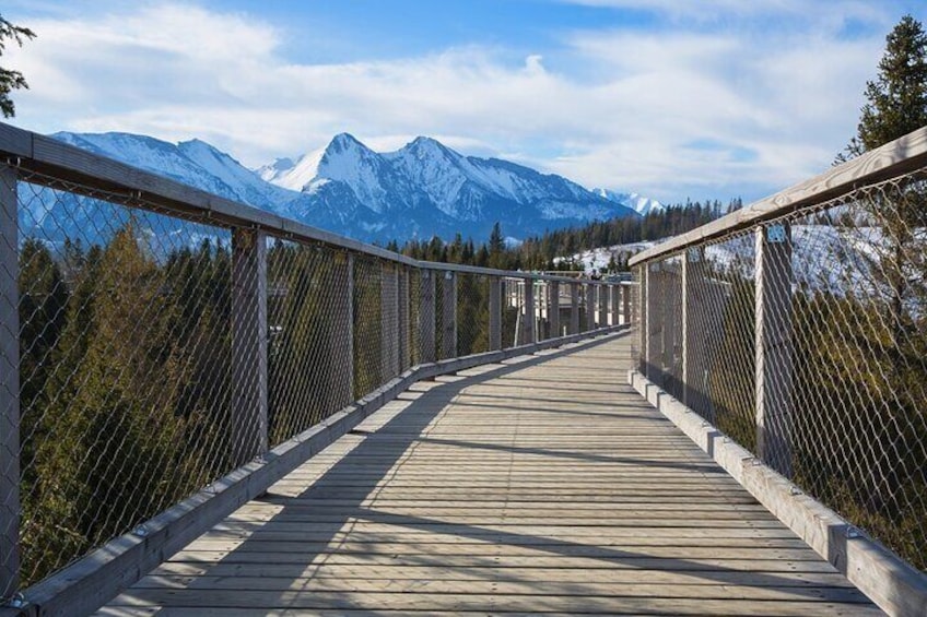 Zakopane TreeTop Walking Tour from Slovakia with Pickup