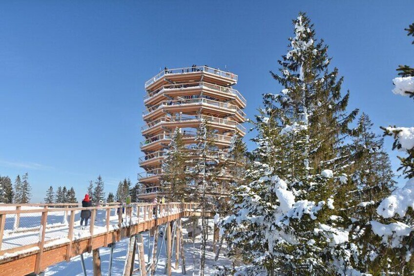 Zakopane TreeTop Walking Tour from Slovakia with Pickup