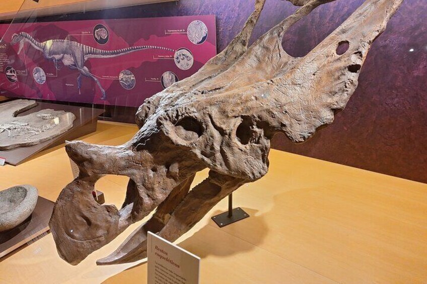 Jurassic Museum of Asturias Tour from Oviedo