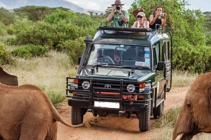 7 Days Sopa Lodges, Amboseli, Naivasha, Nakuru and Masai Mara