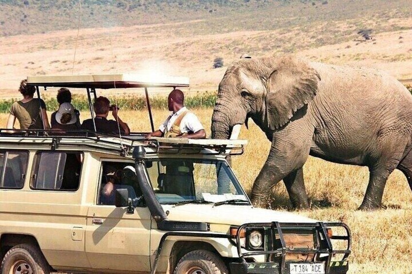 7 Days Sopa Lodges, Amboseli, Naivasha, Nakuru and Masai Mara