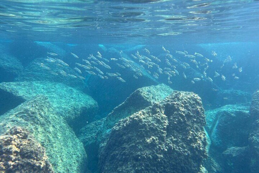 first point snorkeling