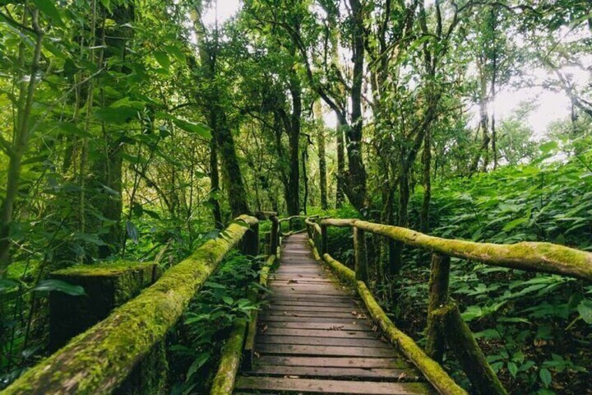 Doi Inthanon National Park
