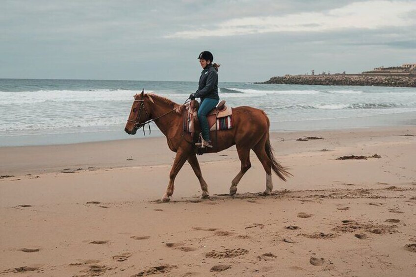 Explore Essaouira on Horse Ride Adventure