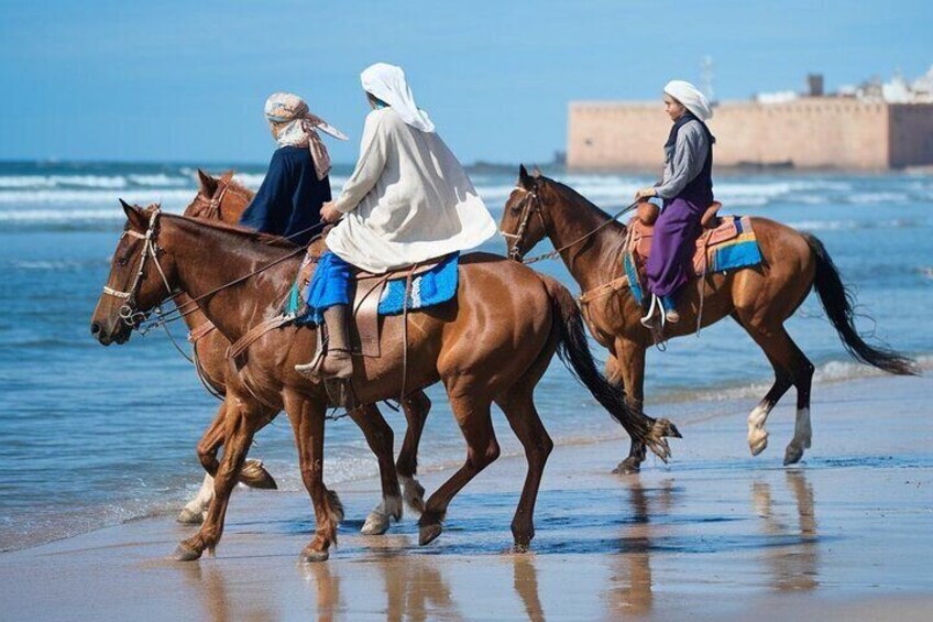 Explore Essaouira on Horse Ride Adventure