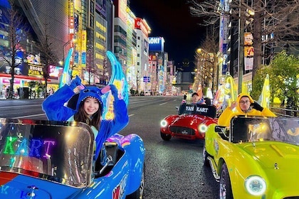 Tokyo：Akihabara Flash Go Kart Street Tour (including guide)
