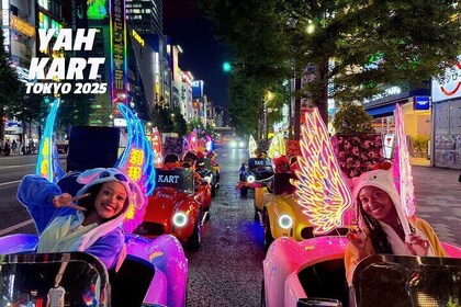 Tokio:Akihabara Flash Go Kart Street Tour (inkl. Guide)