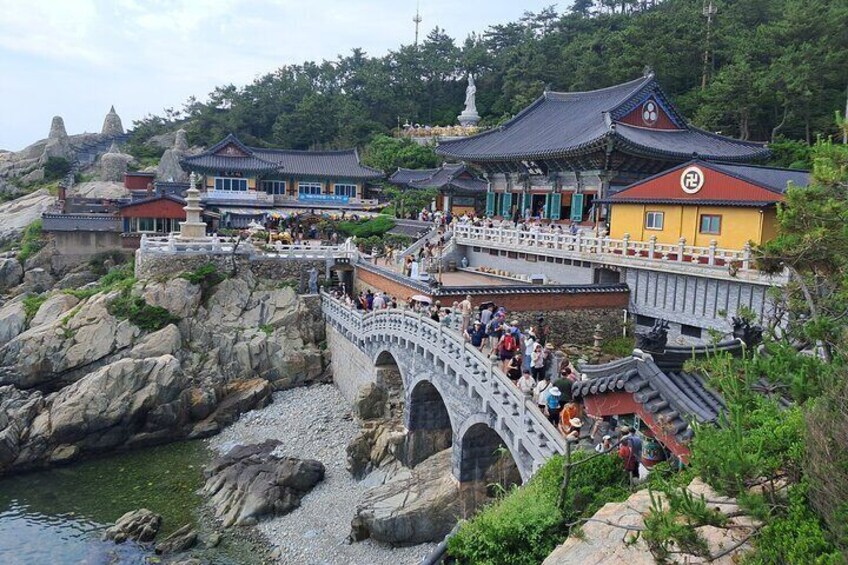 Busan Best Shore Excursion with Pickup from Cruise Ship Terminal