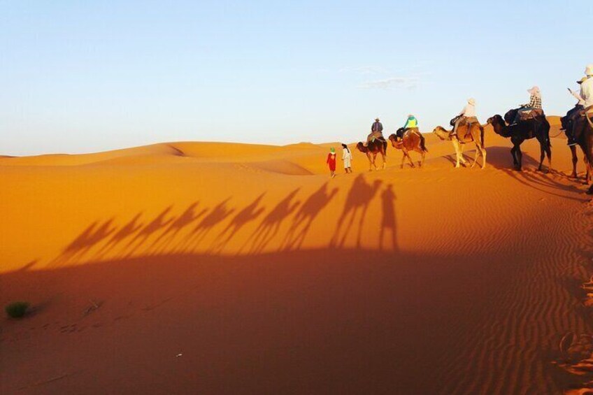 10-Day Tour Across Morocco from Casablanca to the Desert