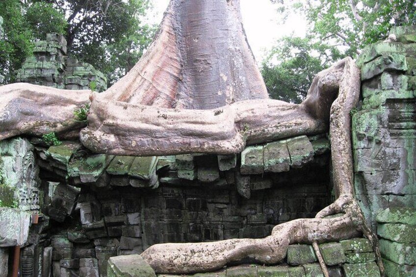 2-Day Angkor Wat & Siem Reap Tour from Pattaya, Thailand