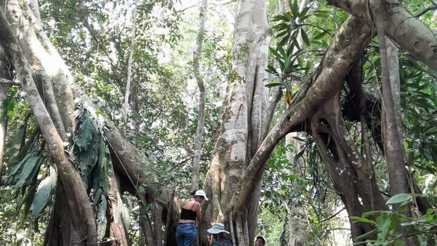 3/Days 2 Nights Amazon Rainforest Wildlife