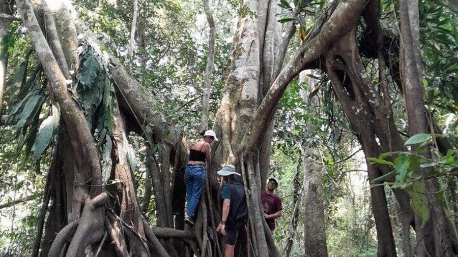 3/Days 2 Nights Amazon Rainforest Wildlife Tour 240 usd