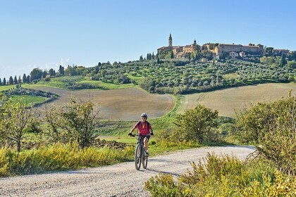 Pienza and Val d'Orcia E-bike Tour + Pickup & Drop off by Van