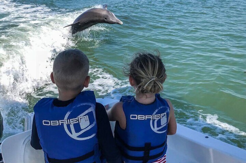 Marco Island Dolphin Watching & Tubing Adventure