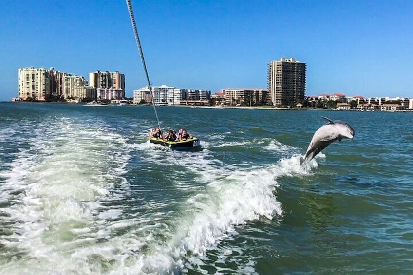 Marco Island Dolphin Watching & Tubing Adventure