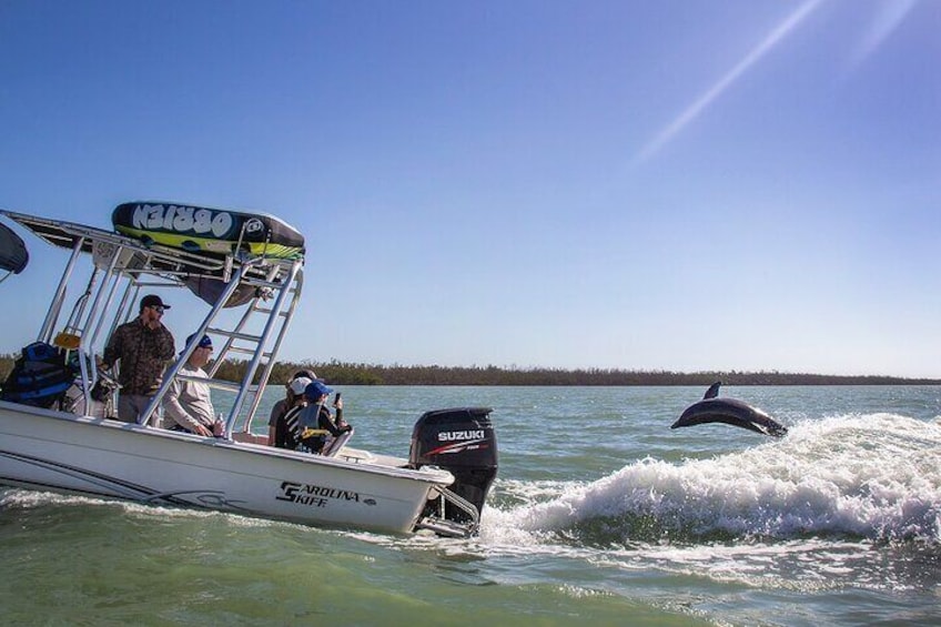 Marco Island Dolphin Watching & Tubing Adventure