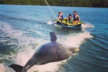 Marco Island Private Tubing, Dolphin Watching and Shelling Tour