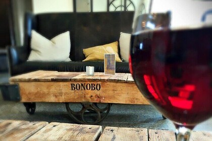 Visite de dégustation de vin rouge fin Traverse City